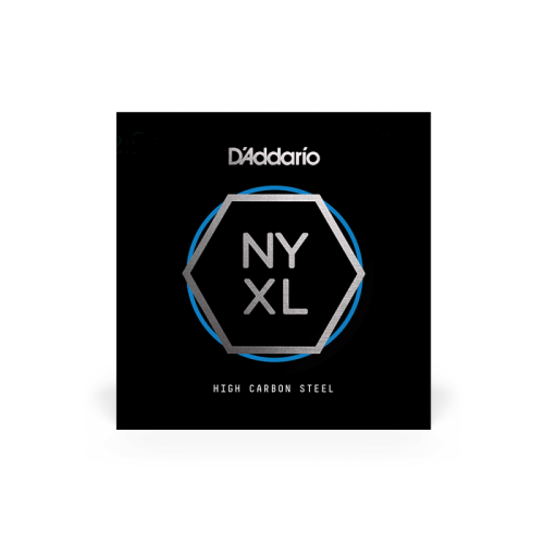 D`ADDARIO NYS019