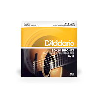 D`ADDARIO EJ14